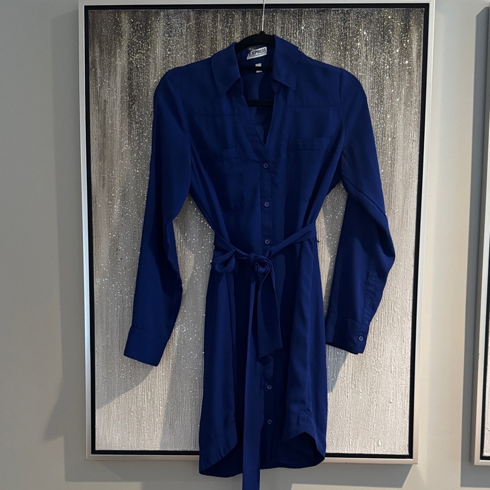 Express Blue Shirt Dress